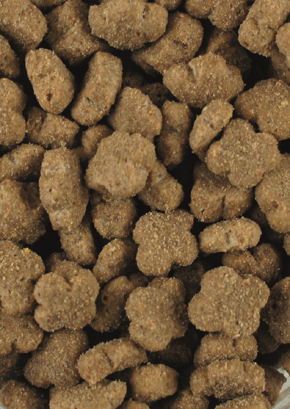 Braune, knusprige Hundekekse in verschiedenen Formen.