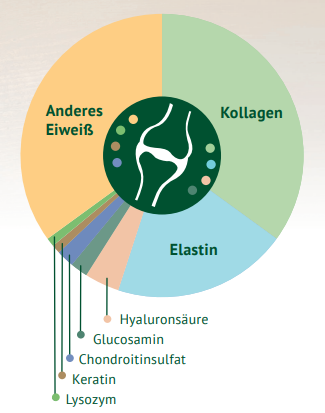 Kreisdiagramm zeigt die Verteilung von Kollagen, Elastin und anderen Eiweißen im Gelenk, mit spezifischen Bestandteilen wie Hyaluronsäure und Glucosamin.