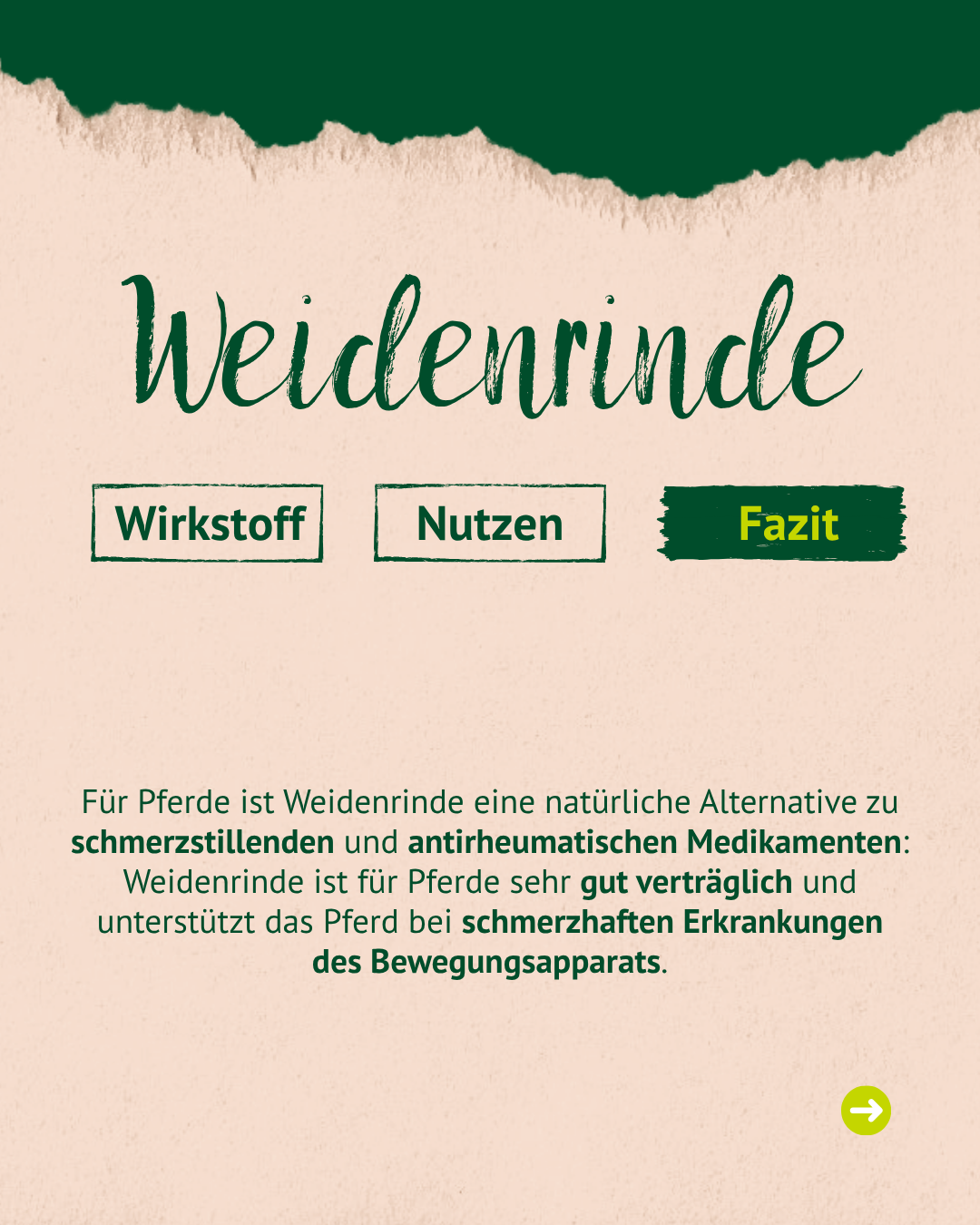 Überschrift 'Weidenrinde' mit drei Schaltflächen 'Wirkstoff', 'Nutzen', 'Fazit'. Text erklärt Weidenrinde als natürliche Alternative für Pferde bei schmerzhaften Bewegungsapparaterkrankungen.