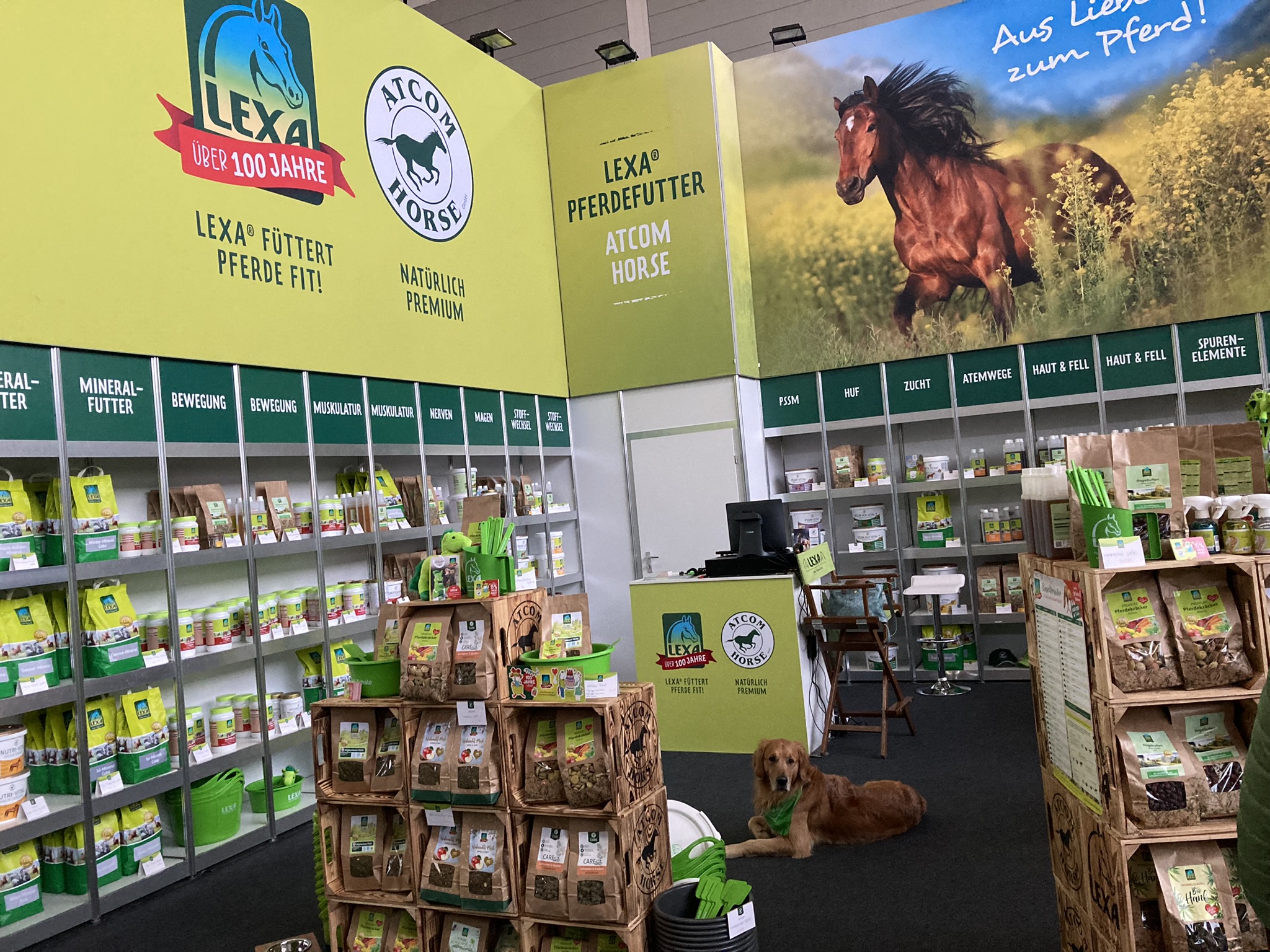 Messestand von LEXA mit verschiedenen Pferdefutterprodukten und einem Hund auf dem Boden.