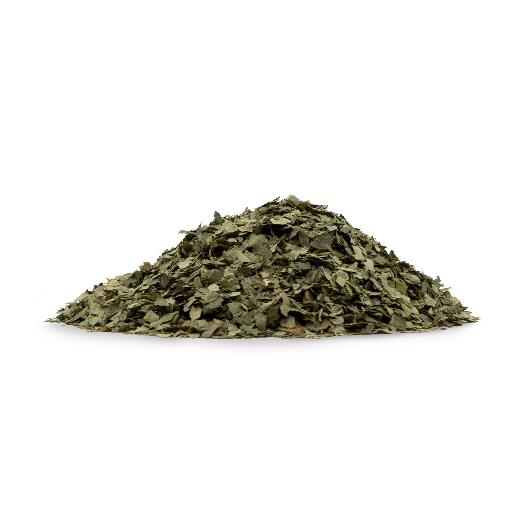 Eine kleine Menge von getrockneten Birkenblättern, auf weißem neutralen Hintergrund.