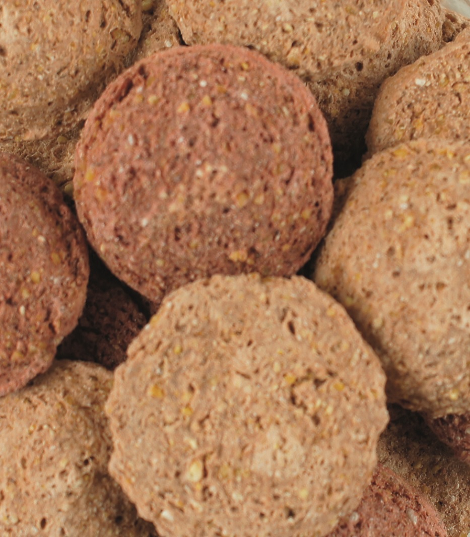 Eine Ansammlung von runden, braunen Brötchen aus Vollkornmehl, einige mit einer dunkleren Kruste.