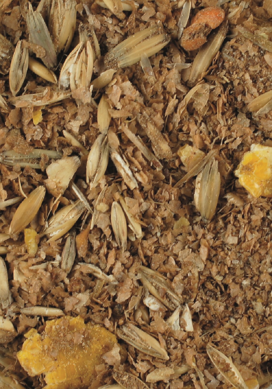 Eine Mischung aus verschiedenen Samen und getrockneten Pflanzenbestandteilen, in erdigen Tönen.