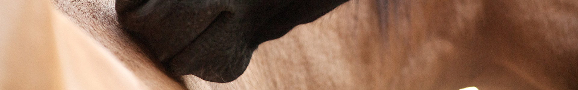 Eine Hand mit schwarzer Handschuh berührt eine Holzoberfläche.