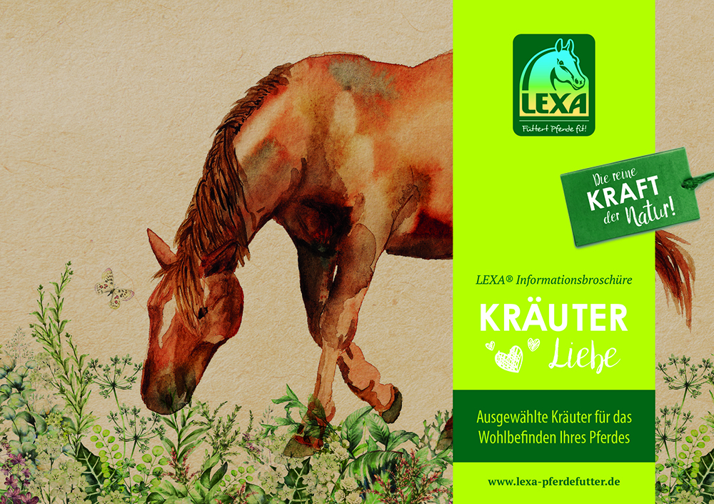 Cover unserer Kräuterborschüre in einm hellen braun mit einem roten Pferd und verschiedenen Kräuter. Auf der rechten Seite ist ein hellgrüner Streifen mit dem LEXA Logo und der Aufschrift: Kräuter Liebe