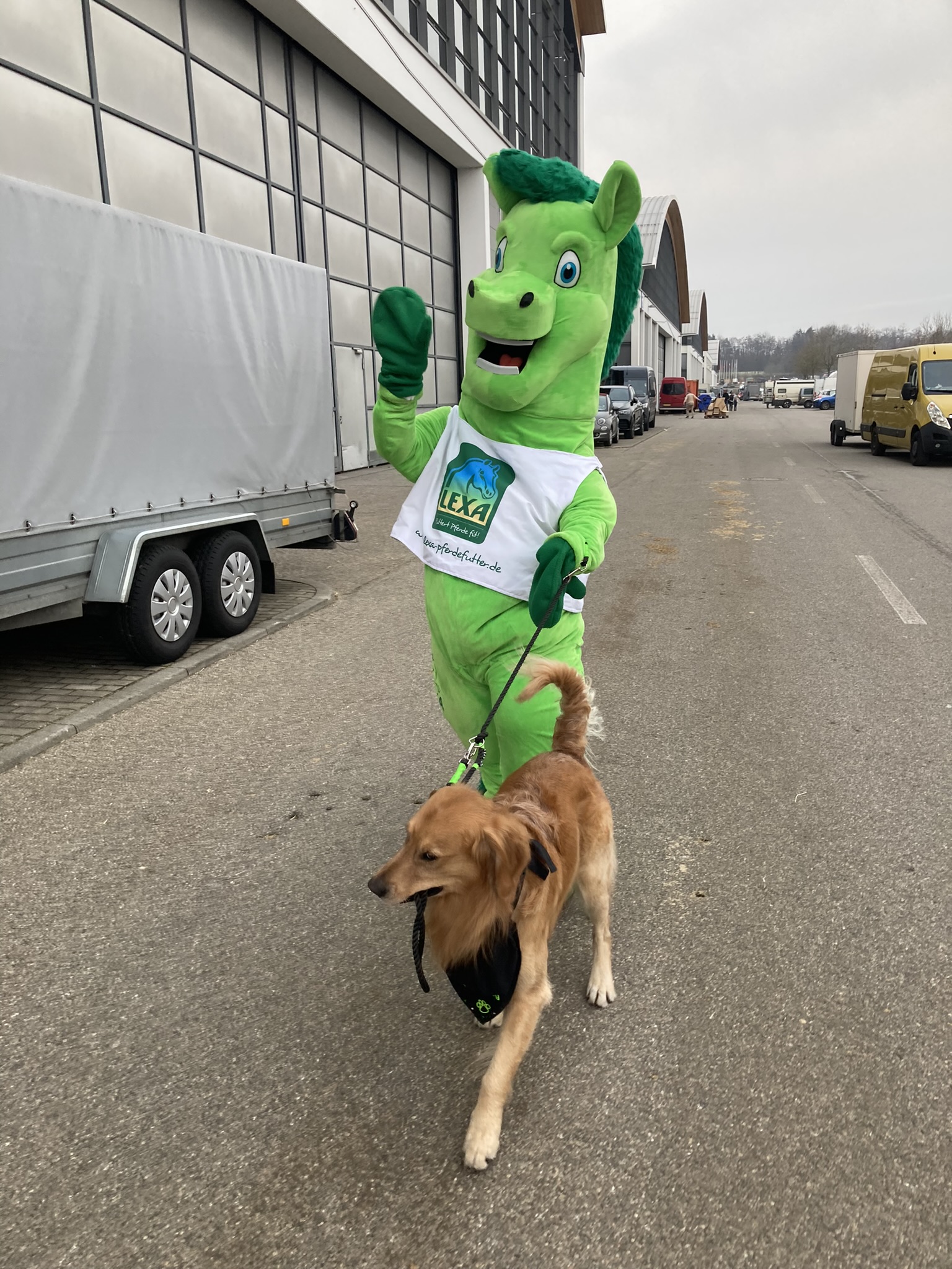 Ein grünes Pferdemaskottchen winkt, während es einen Hund an der Leine führt.