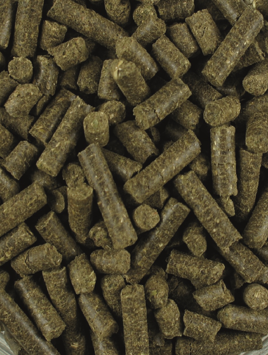 Braune Pellets aus pflanzlichem Material, dicht gepackt und unregelmäßig geformt.