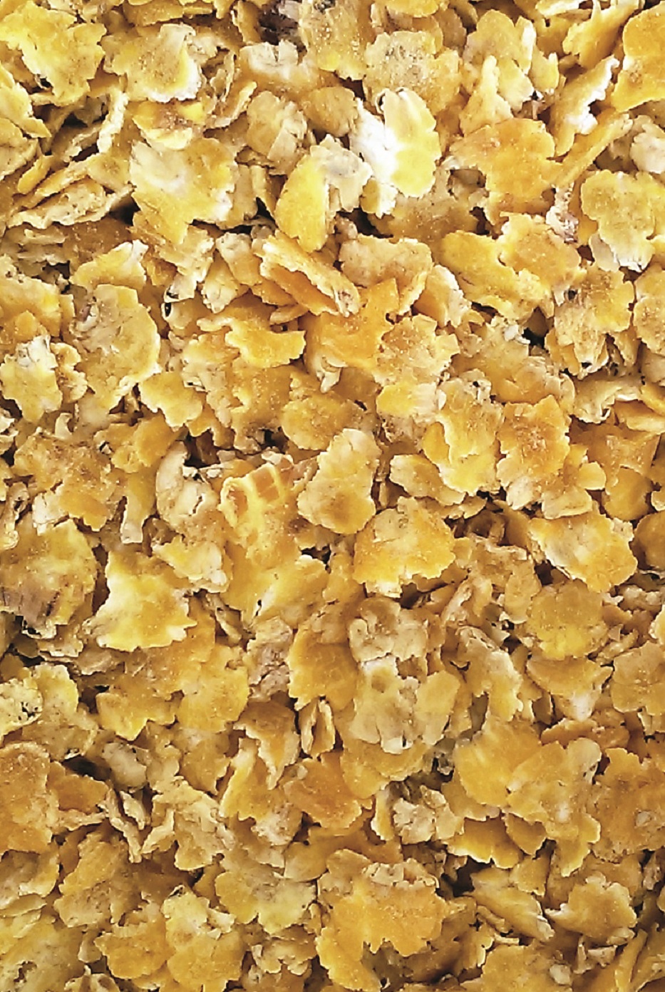 Getrocknete, goldene Haferflocken auf einem flachen Untergrund.