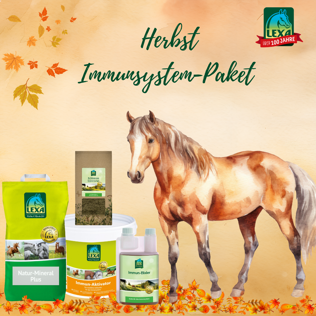 Herbst Immunpaket von LEXA, bestehend aus verschiedenen Produkten zur Unterstützung des Immunsystems von Pferden, mit einem Pferd im Vordergrund.