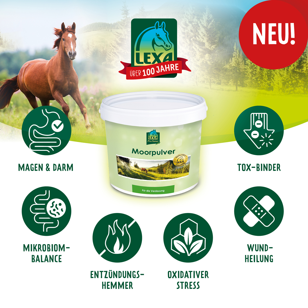 Eimer mit LEXA Moorpulver für Pferde, betont Vorteile wie Magen & Darm, Mikrobiom-Balance, Entzündungshemmer, und Wundheilung.