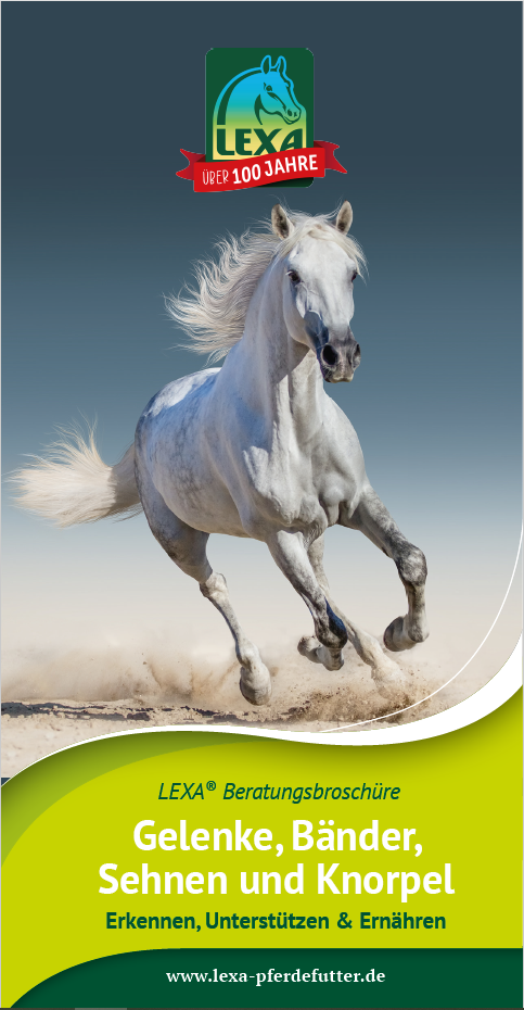 Ein weißes Pferd galoppiert auf einer grünen Wiese, umgeben von einem blauen Himmel. Der Titel der Broschüre lautet 'LEXA® Beratungsbroschüre Gelenke, Bänder, Sehnen und Knorpel'.