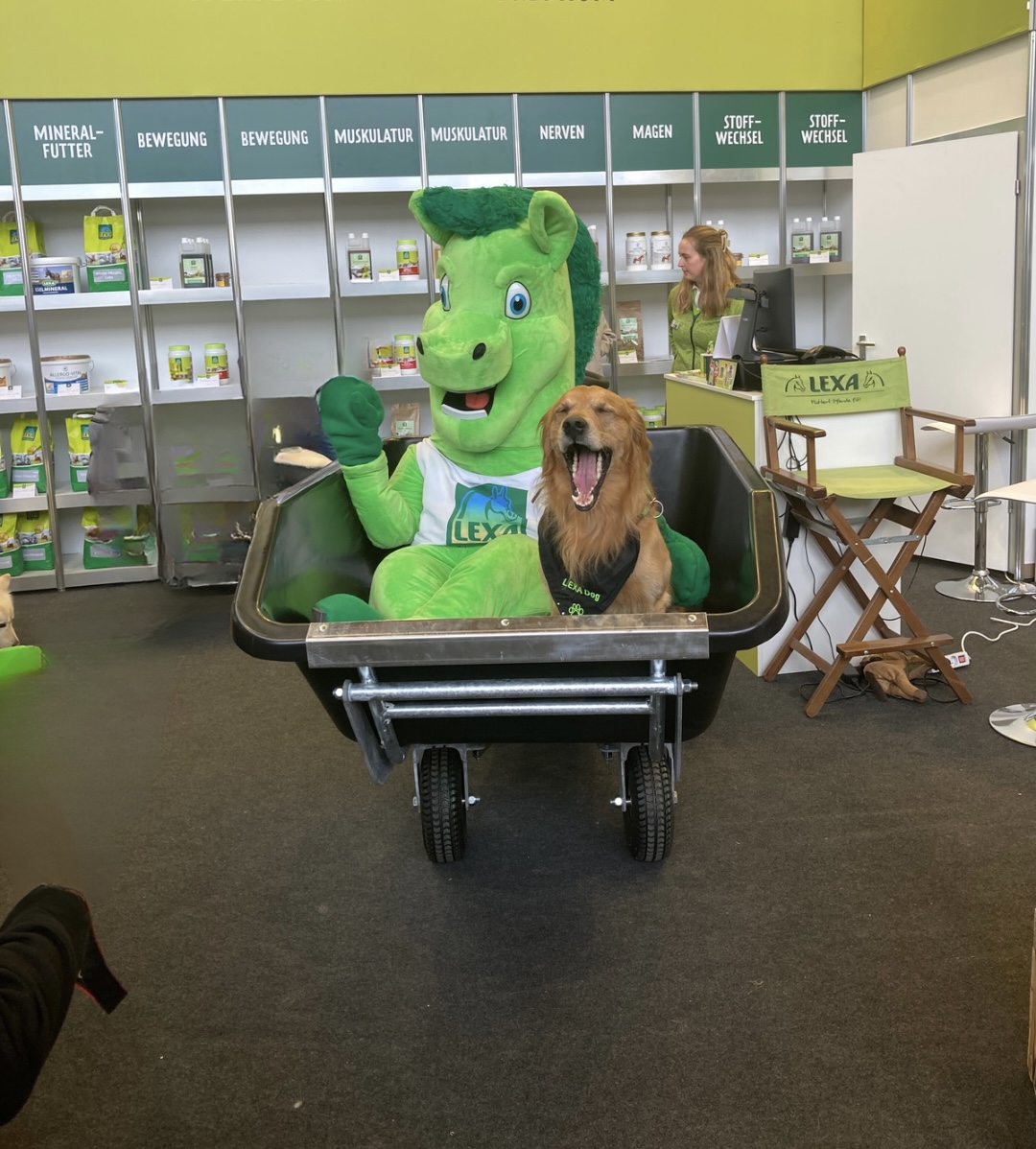 Ein grünes Maskottchen in einem Schubkarren, neben einem Hund mit offenem Maul. Im Hintergrund sind Regale mit Produkten zu sehen.