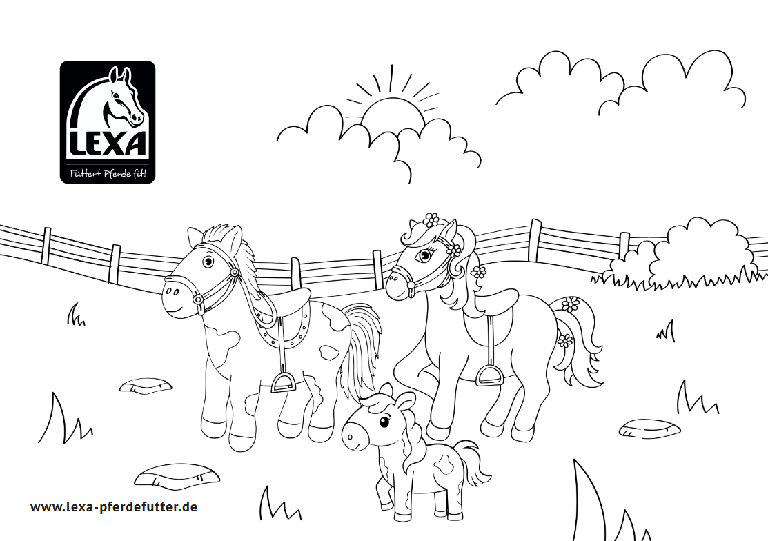 Drei Pferde in einer Landschaft mit einem Zaun und einem Sonnenaufgang im Hintergrund.