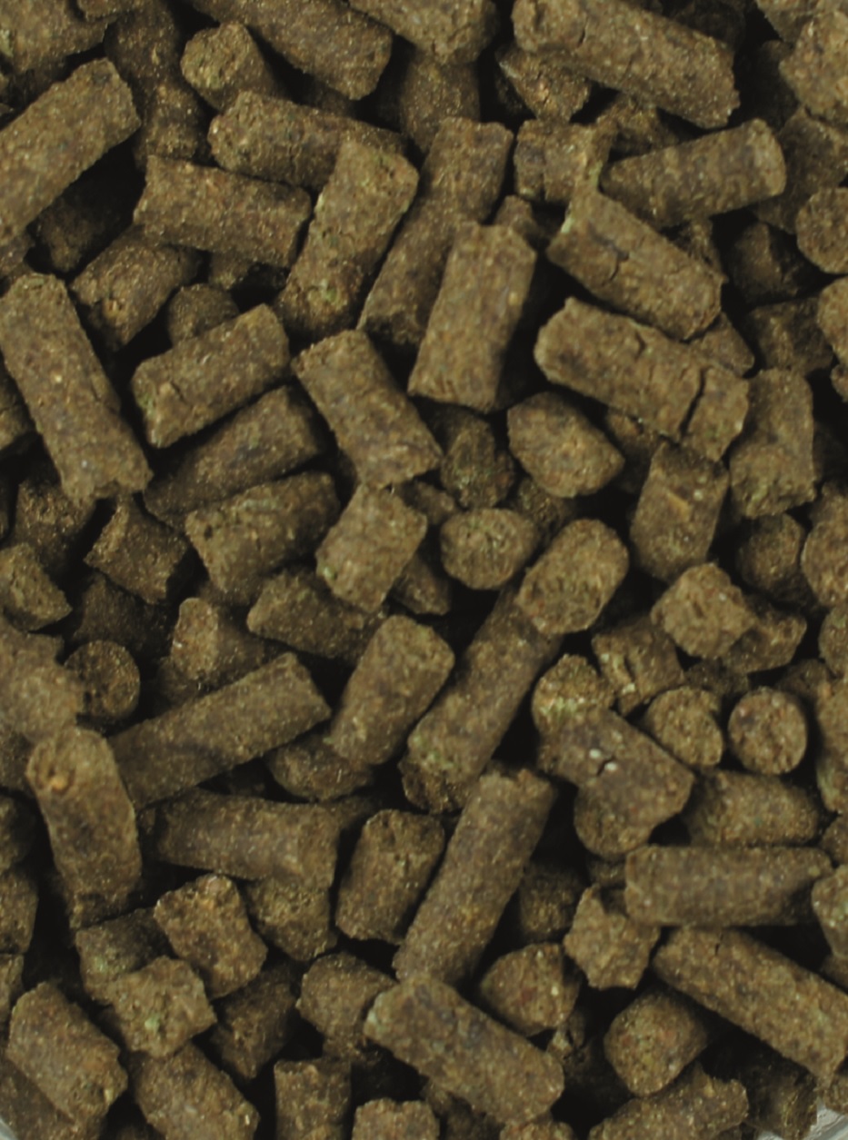 Braune Pellets aus pflanzlichem Material, unregelmäßig geformt und in verschiedenen Größen.