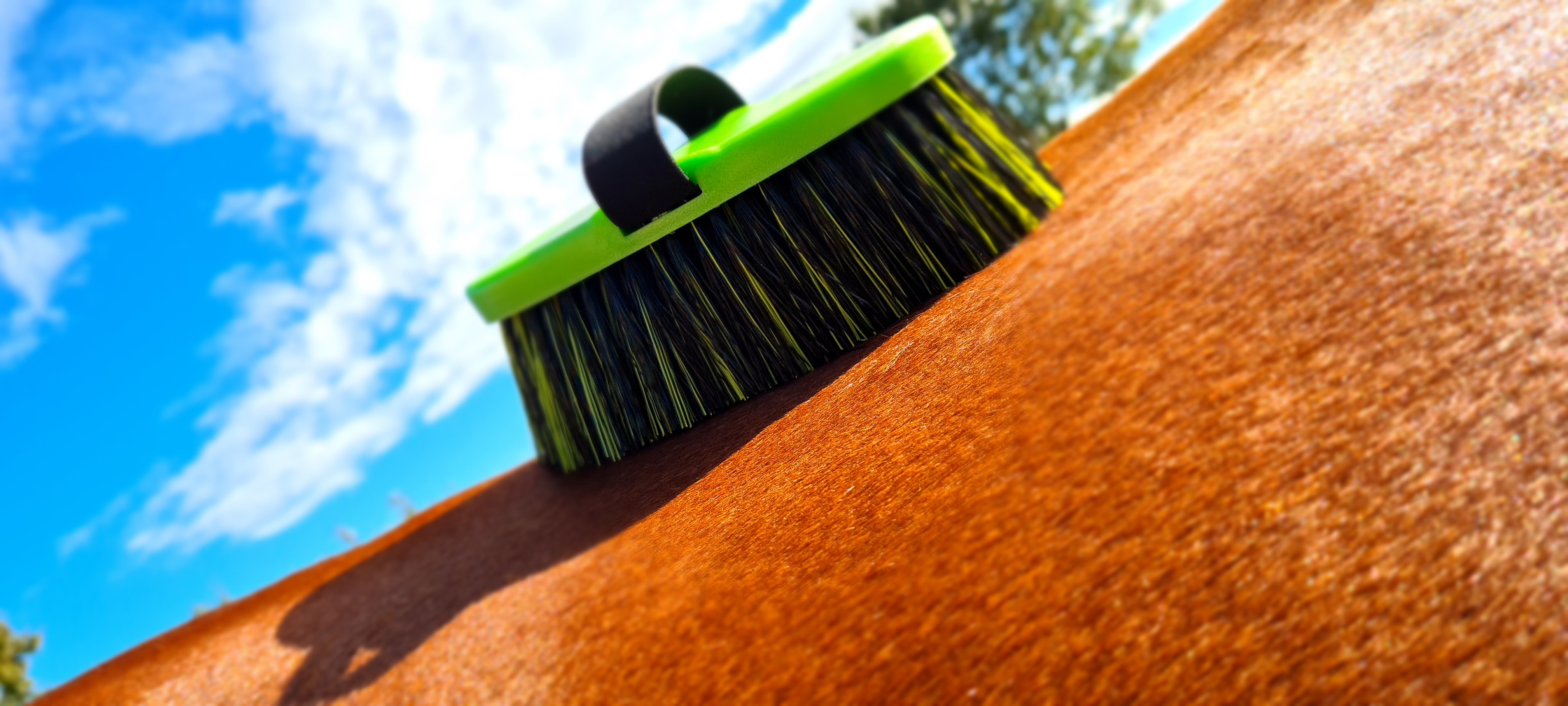 Eine grüne Bürste mit schwarzem Griff wird auf das Fell eines Pferdes angewendet.