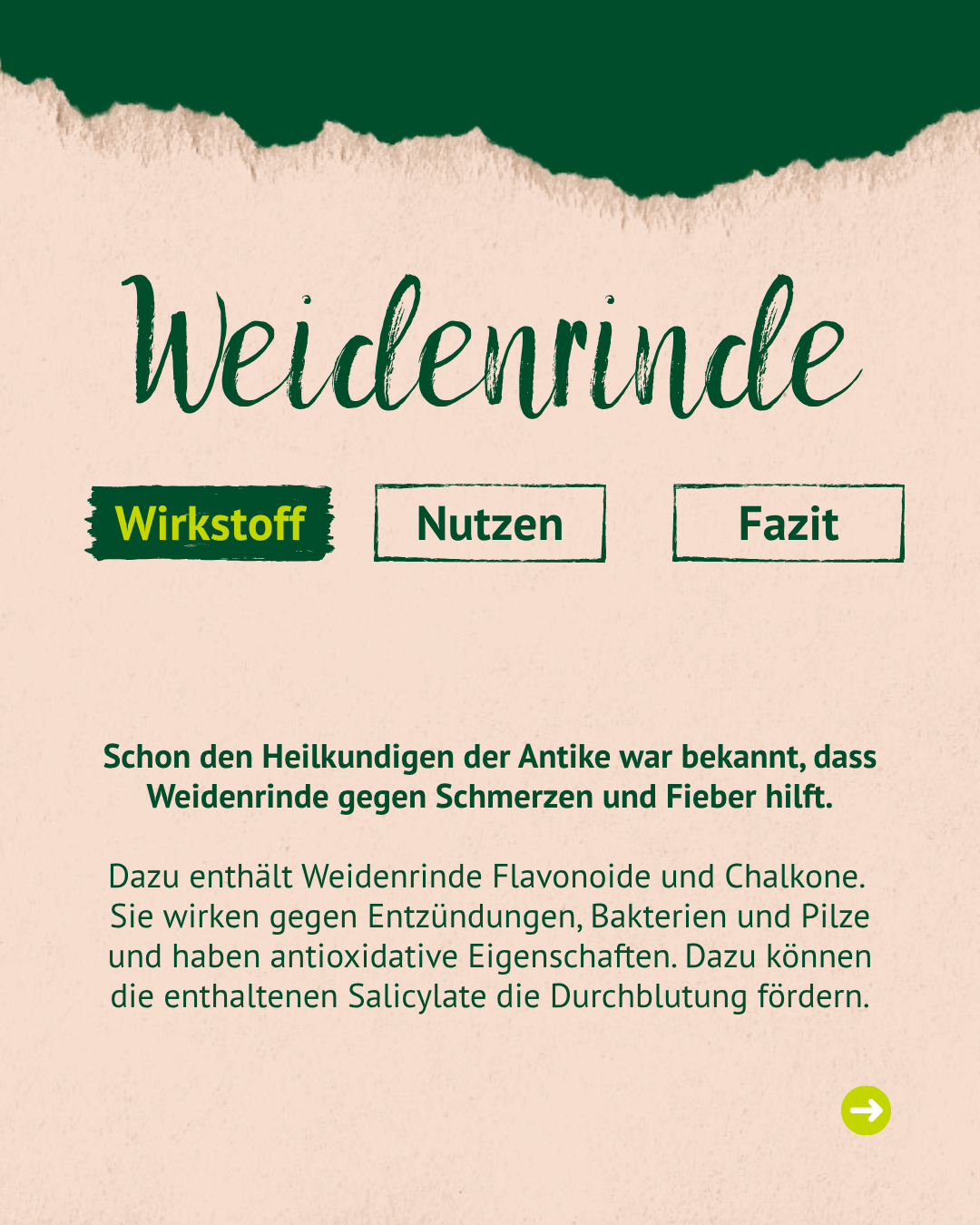 Textseite mit Überschrift 'Weidenrinde' und drei Buttons 'Wirkstoff', 'Nutzen', 'Fazit'. Text erklärt die Wirkung von Weidenrinde gegen Schmerzen und Fieber, enthält Flavonoide, Chalkone und Salicylate.