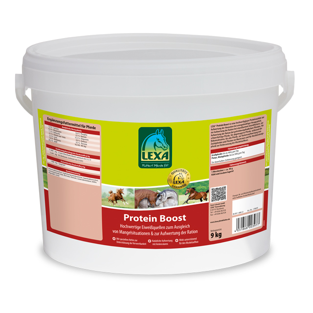 LEXA Protein Boost, Eimer (Kunststoff), hochwertiges Ergänzungsfuttermittel für Pferde zur Unterstützung der Muskulatur.