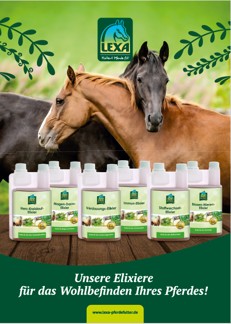 Produktpräsentation von LEXA mit verschiedenen Flaschen für Pferdepflege und -wohlbefinden, zwei Pferde im Hintergrund.