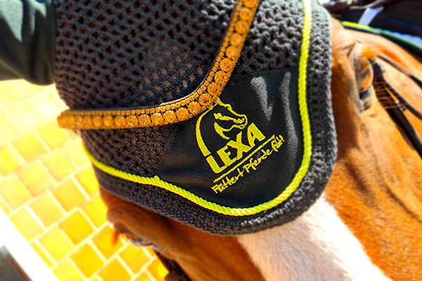 Sattelunterlage mit dem Logo von LEXA, gelb und schwarz, auf einem Pferd.