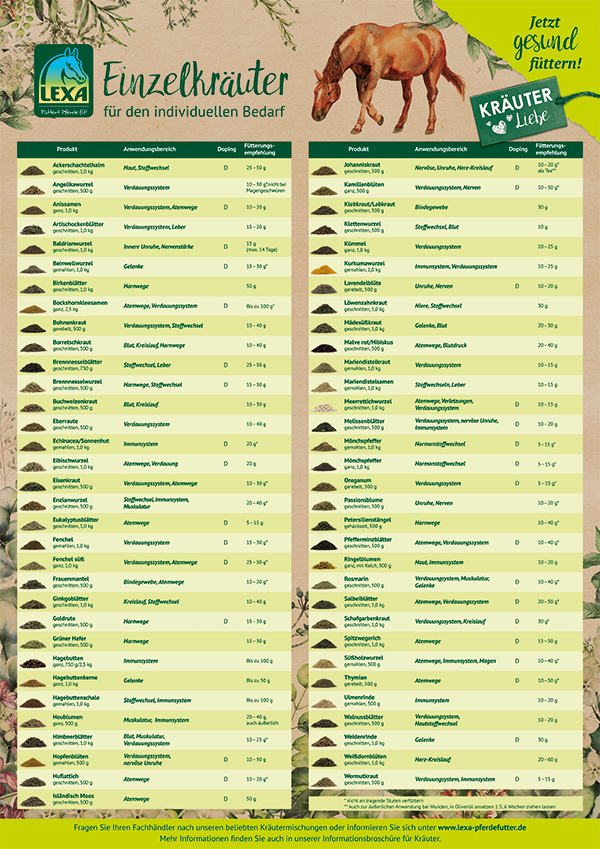 Tabelle mit Einzelkräutern für Pferde, einschließlich Namen, Anwendungsgebieten und Eigenschaften.