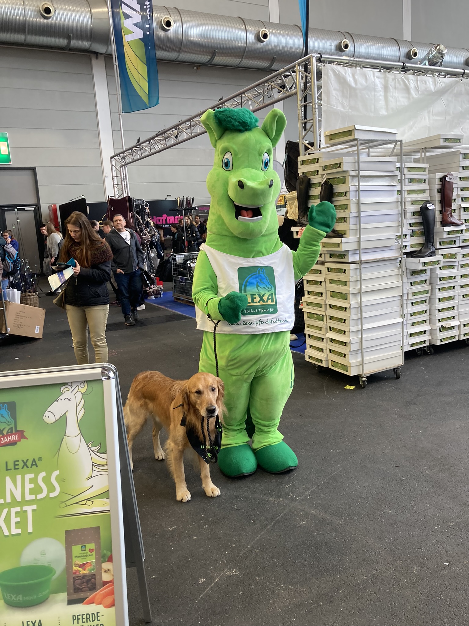 Ein grünes Maskottchen in Form eines Pferdes steht neben einem Golden Retriever, beide lächeln in die Kamera.