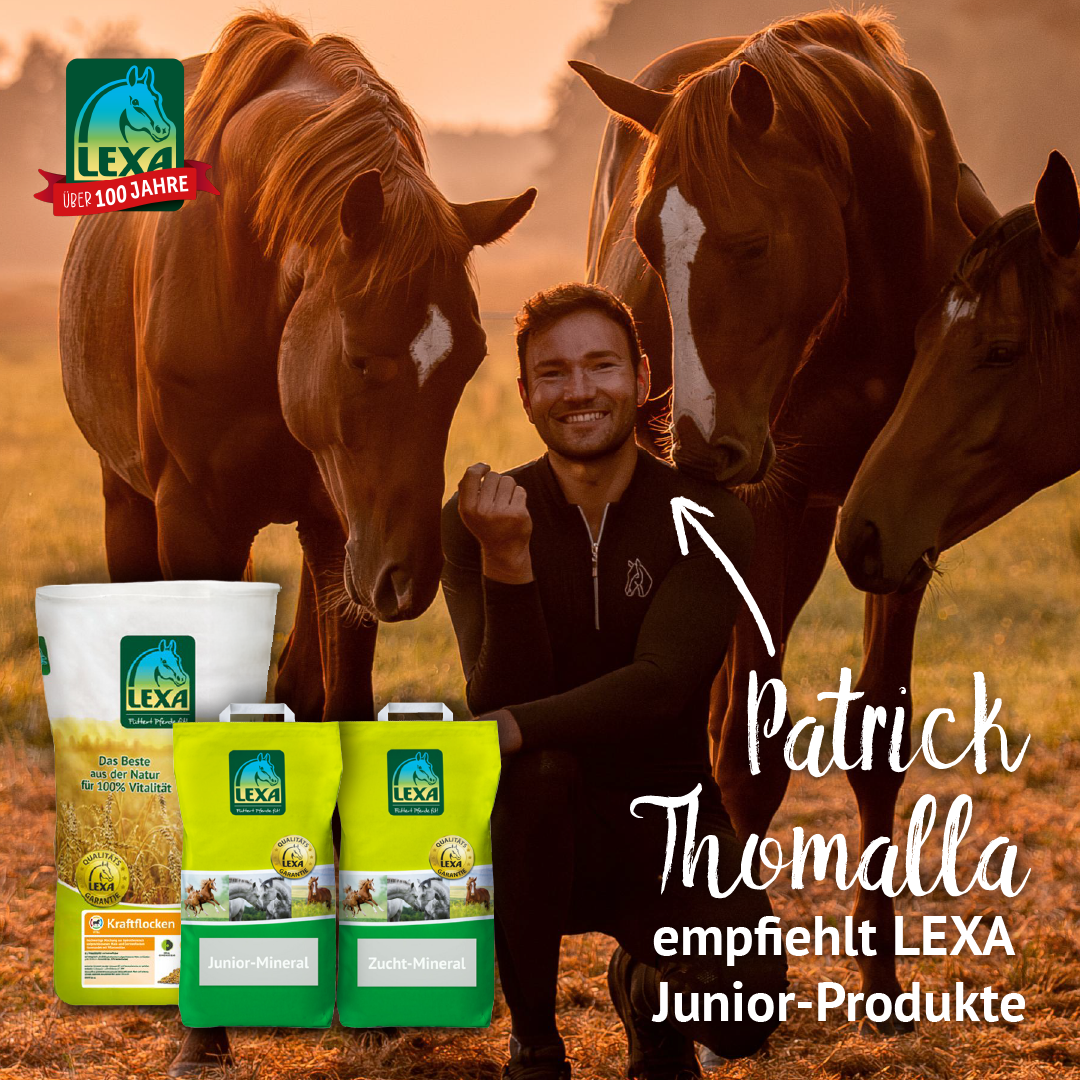 Patrick Thomalla sitzt lächelnd zwischen drei braunen Pferden bei Sonnenuntergang, neben ihm stehen LEXA Junior-Mineral und Zucht-Mineral Pferdefutterprodukte