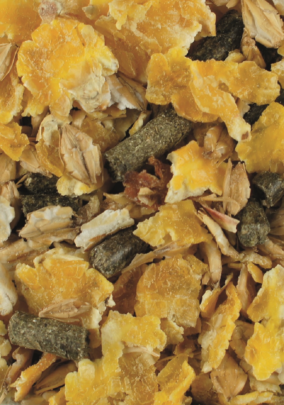 Eine Mischung aus getrockneten Blütenblättern, Haferflocken und kleinen grünen Stücken.