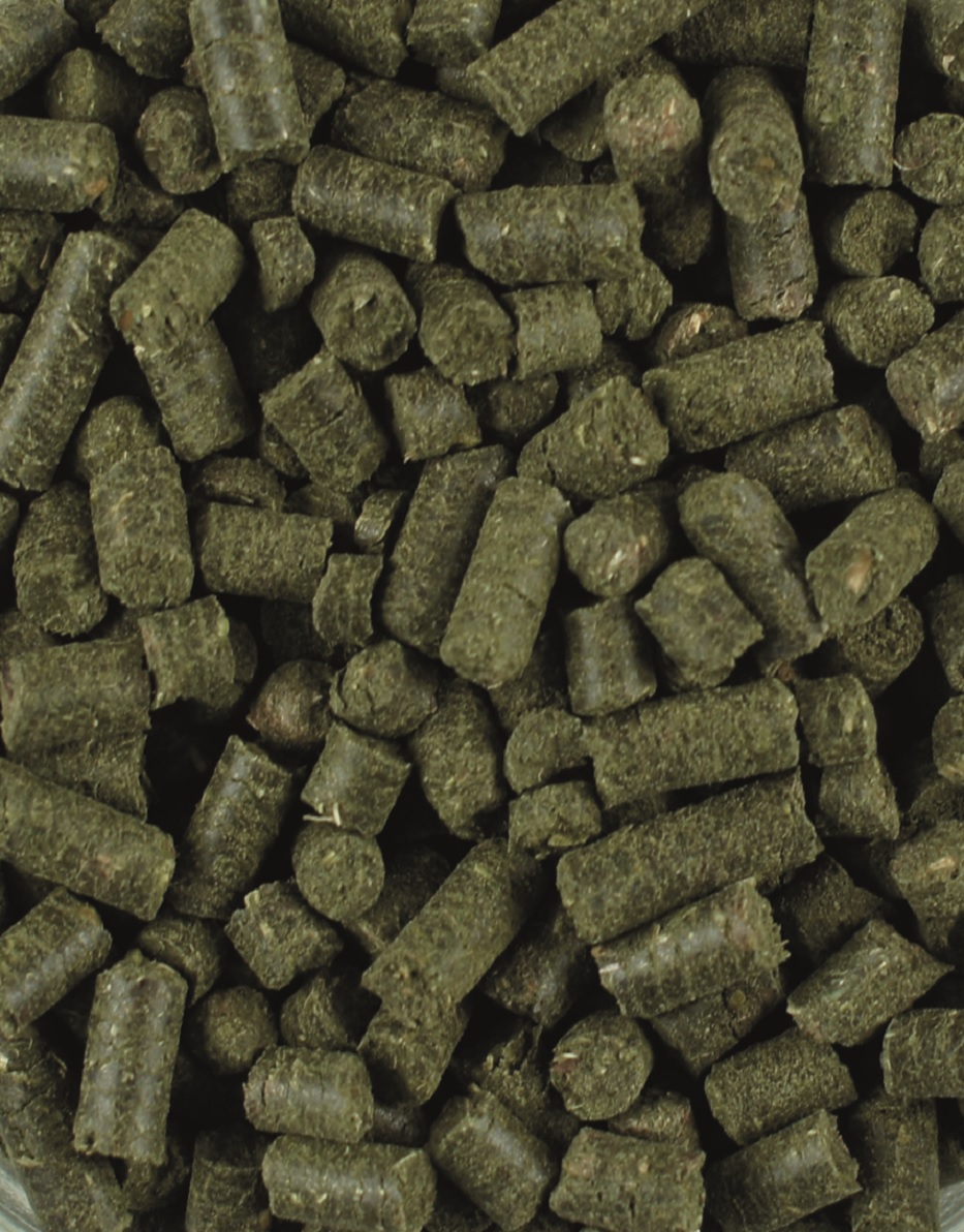 Grüne Pellets aus getrocknetem Gras oder Heu, gleichmäßig geformt und in verschiedenen Größen.