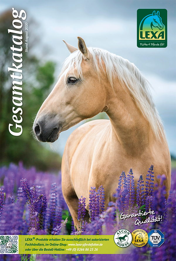 Pferd mit hellem Fell vor lila Blumen im Gesamtkatalog von LEXA.