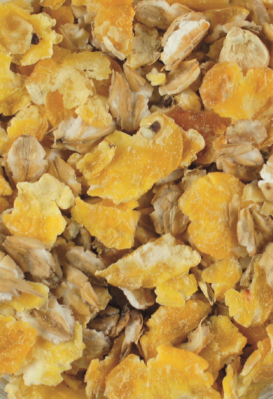 Nahaufnahme von Haferflocken mit getrockneten Fruchtstücken, hauptsächlich orangefarbenen.