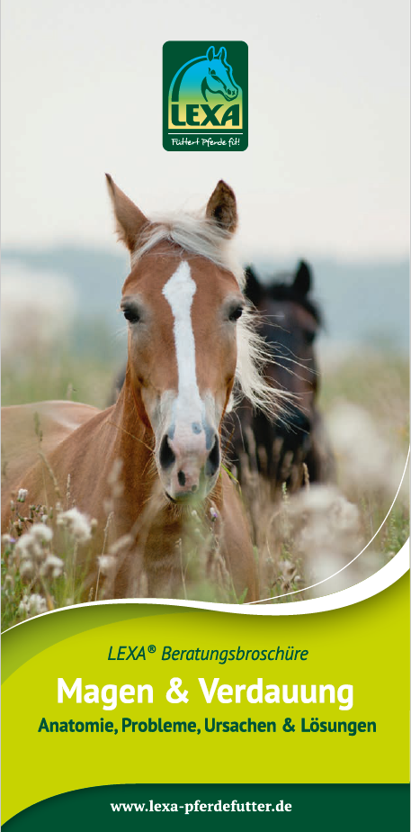 Beratungsbroschüre über Magen und Verdauung bei Pferden, mit einem Pferd im Vordergrund und einem weiteren im Hintergrund.