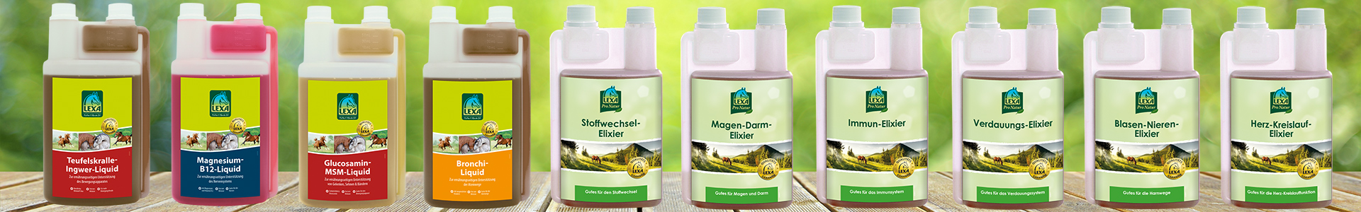 Reihe von Flaschen mit verschiedenen Ölen, darunter Kokosöl, Olivenöl und andere, in unterschiedlichen Farben und Größen.