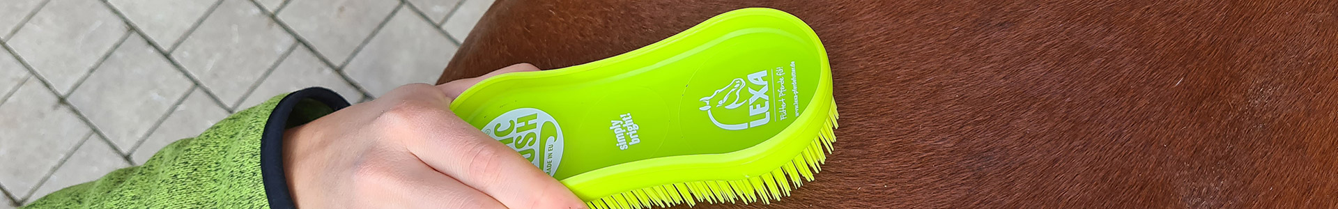 Eine Hand bürstet das Fell eines Pferdes mit einer grünen Bürste.