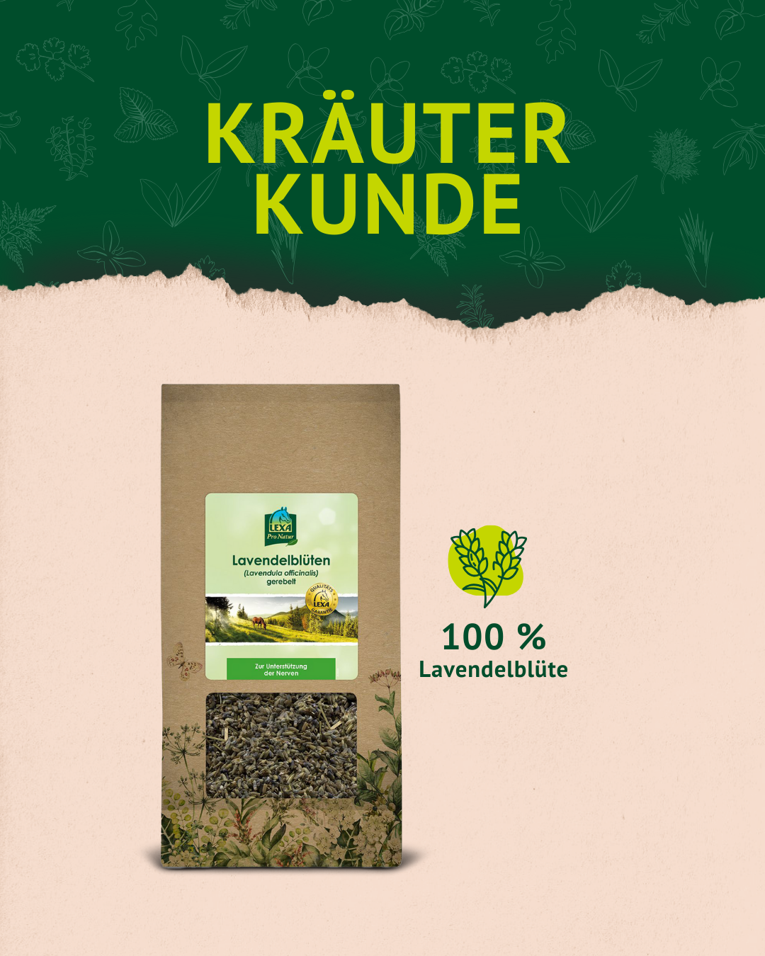 3. Lavendel Post der Kräuterkunde