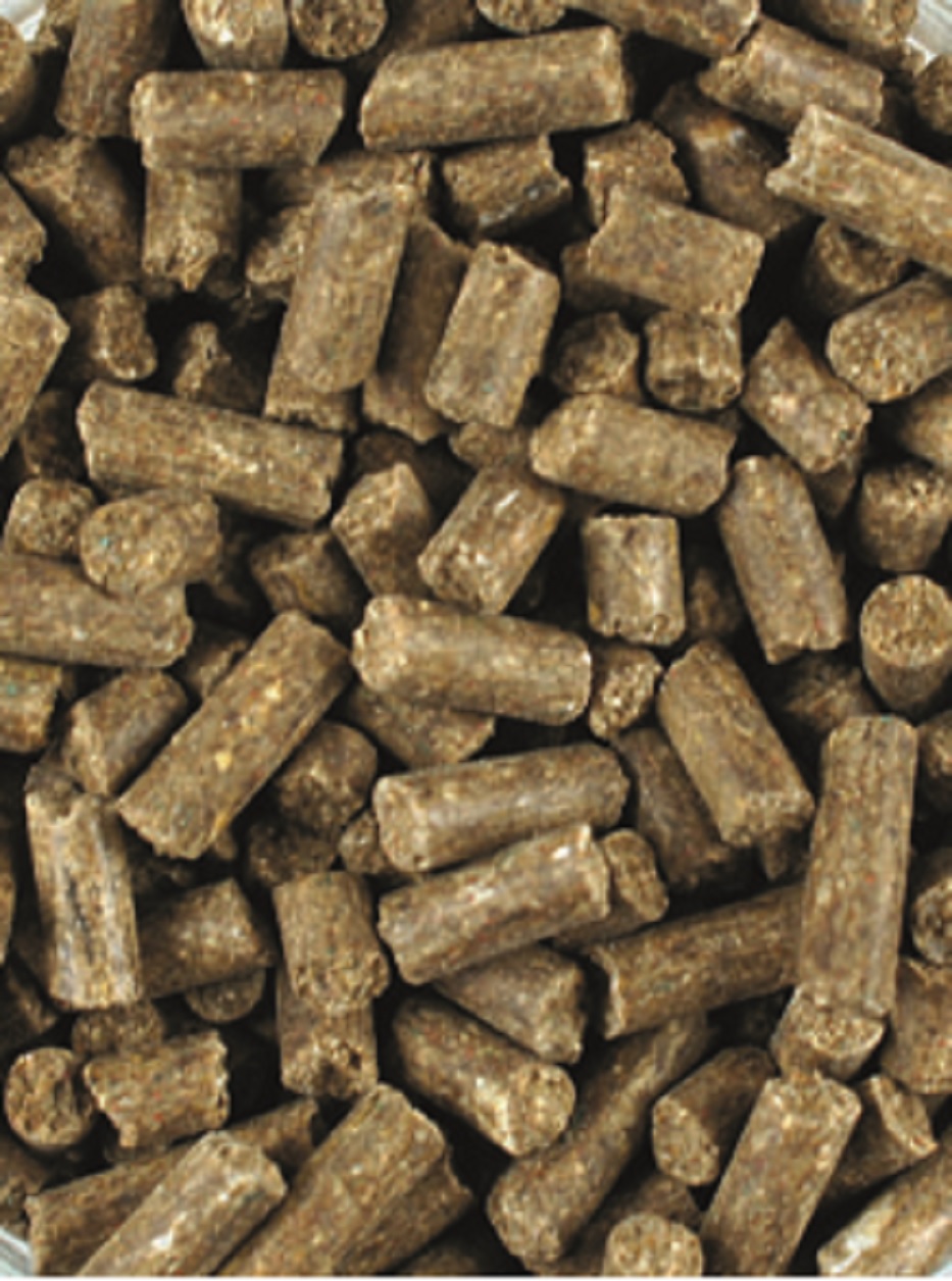 Braune Tierfutterpellets in einer unregelmäßigen Anordnung.