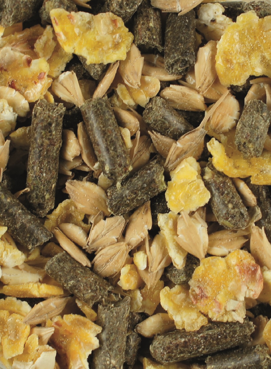 Eine Mischung aus verschiedenen Vogelfutterbestandteilen, darunter Sonnenblumenkerne, getrocknete Früchte und Pellets.