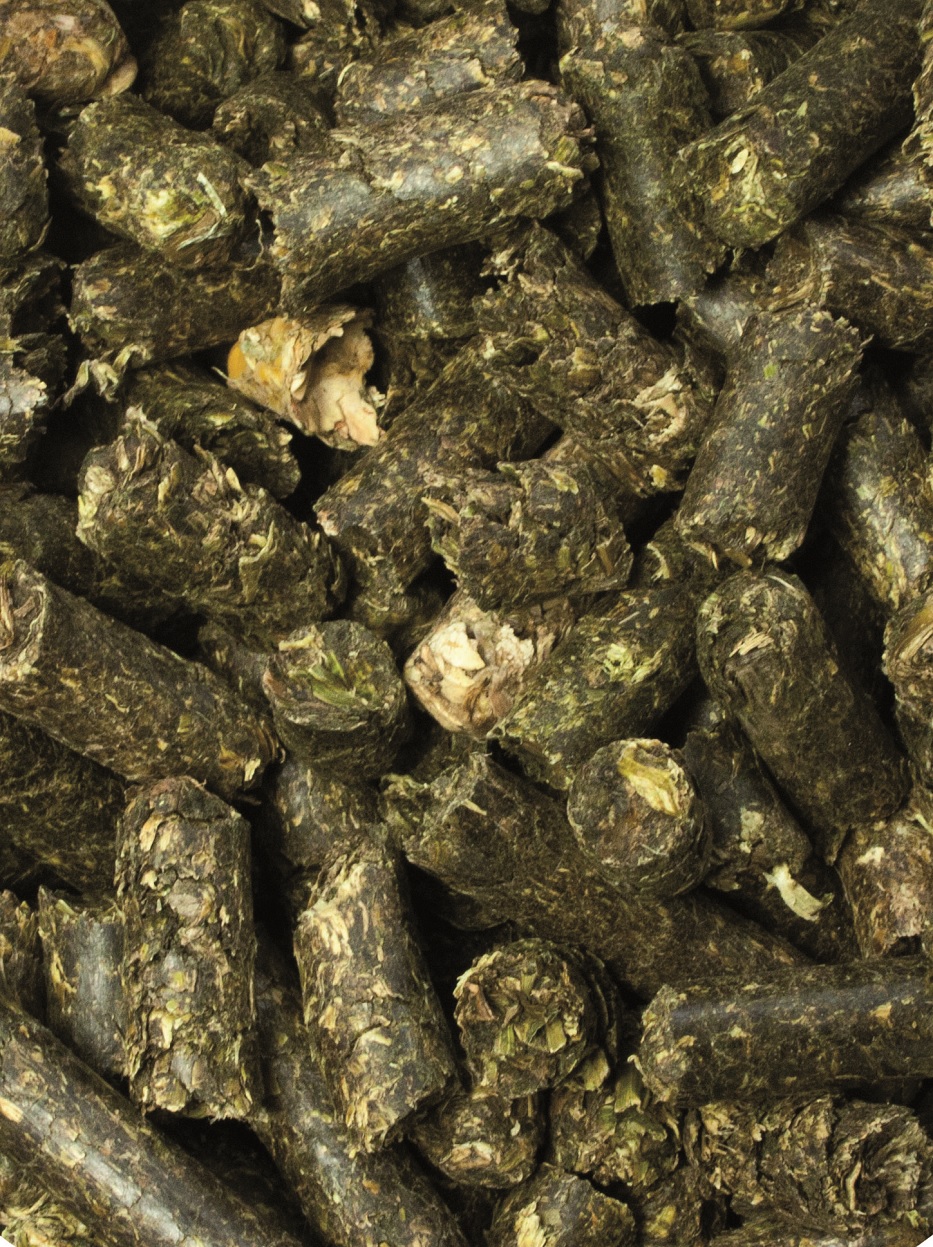 Eine Nahaufnahme von kleinen, zylindrischen Pellets aus getrocknetem Pflanzenmaterial, überwiegend grünlich-braun.