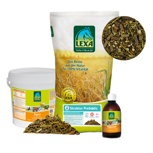 Kotwasser entsteht häufig fütterungsbedingt