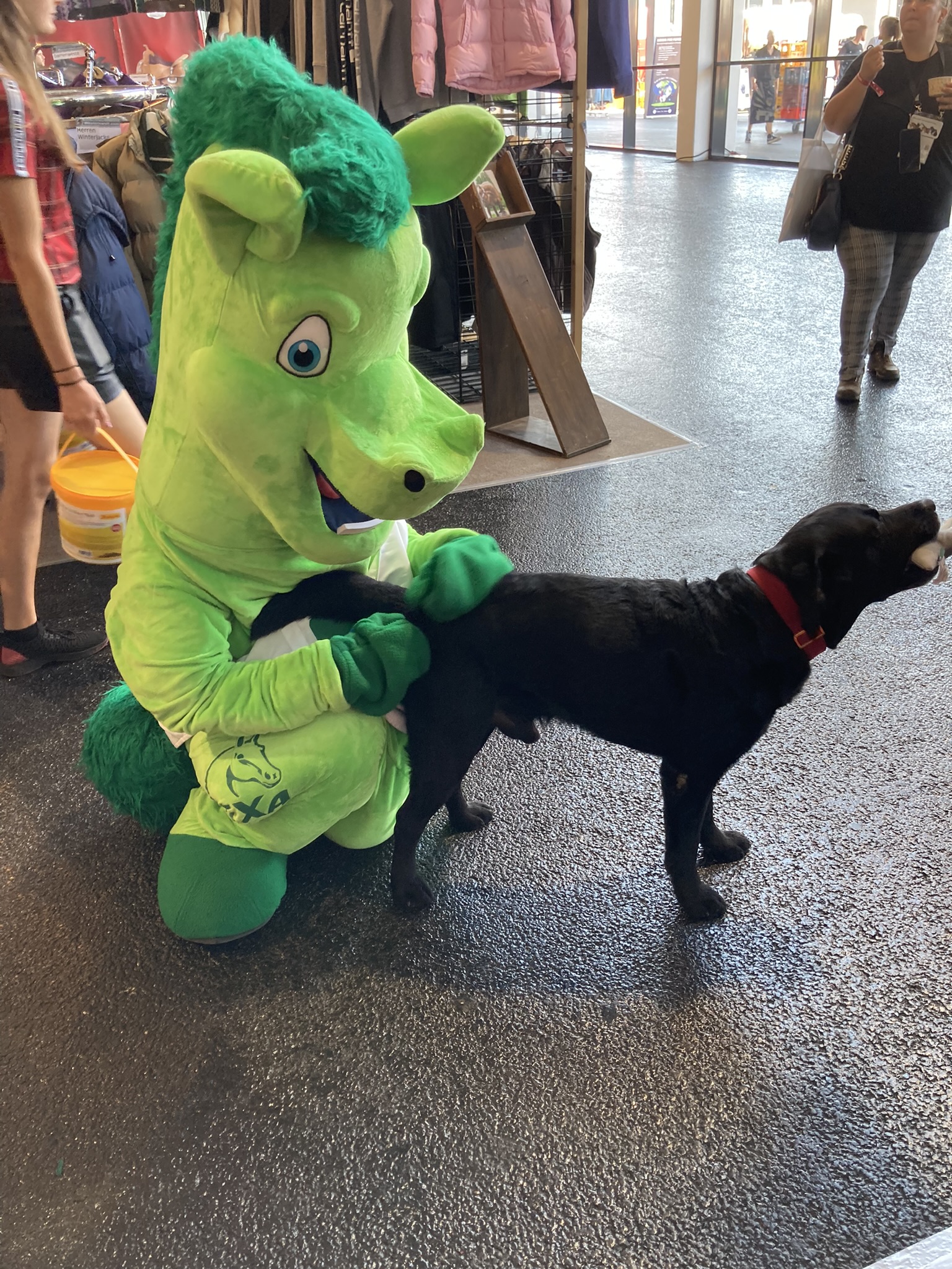 Ein grünes Maskottchen in einem Pferdekostüm kniet und streichelt einen schwarzen Hund.