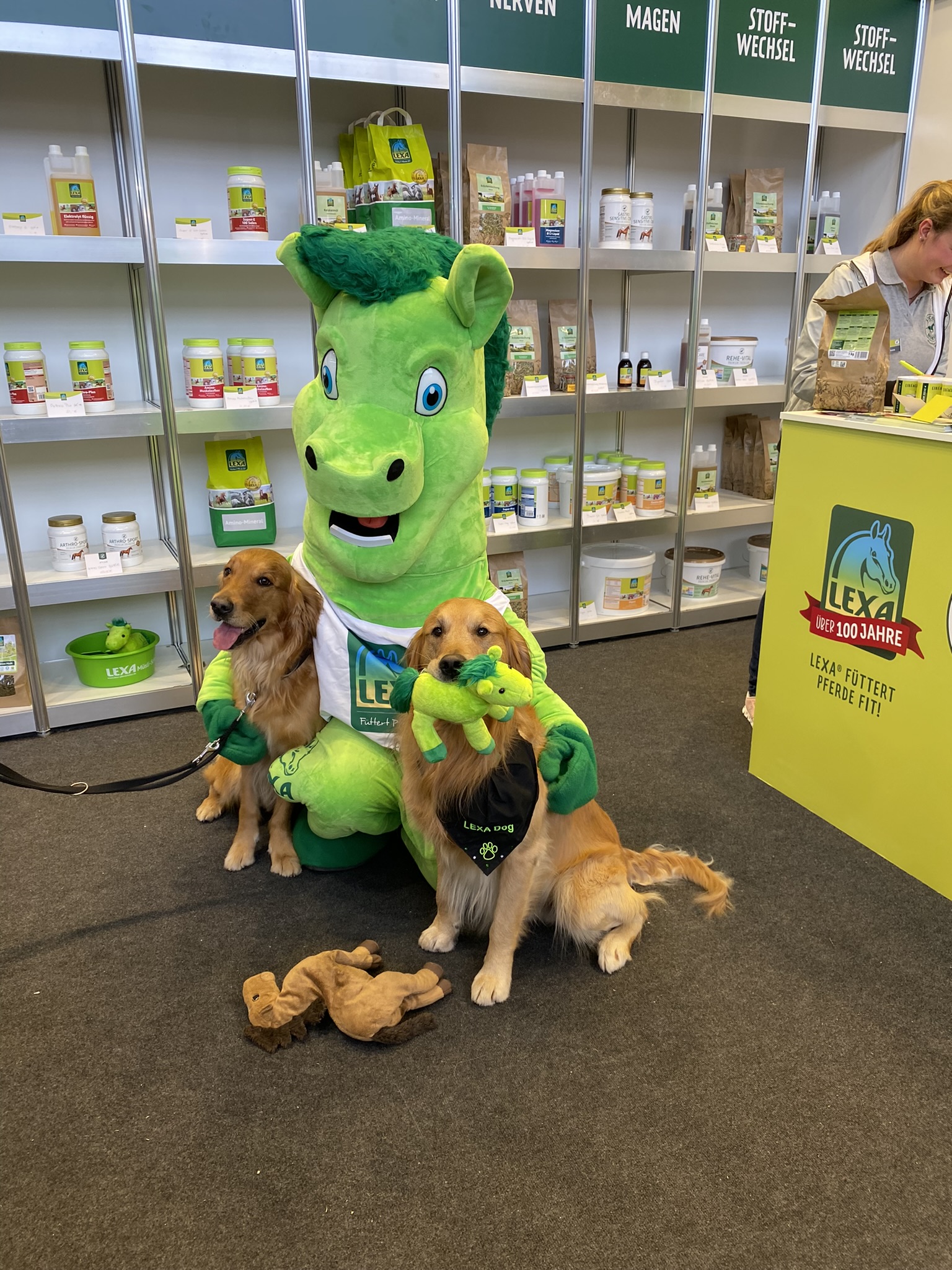 Ein grünes Maskottchen in Form eines Pferdes sitzt zwischen zwei Hunden, die ein Spielzeug halten. Im Hintergrund sind Regale mit Tierfutter zu sehen.