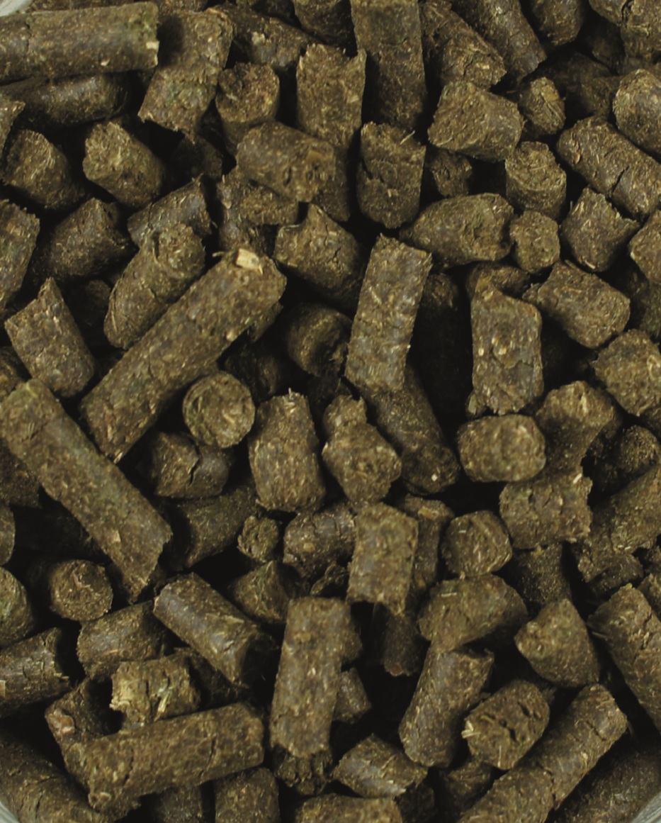 Braune, zylindrische Pellets für Pferde, grob gepresst