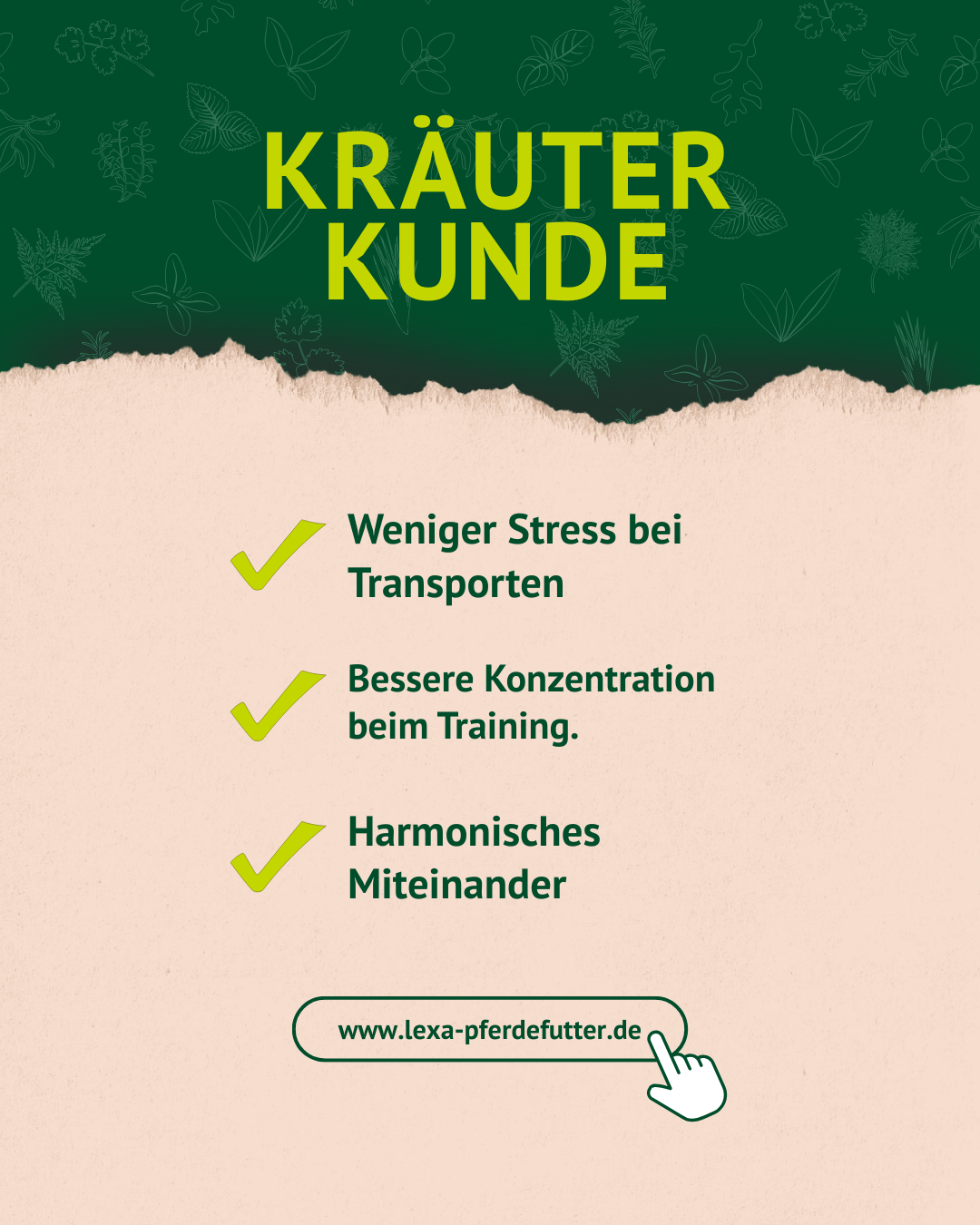 6. Lavendel Post der Kräuterkunde