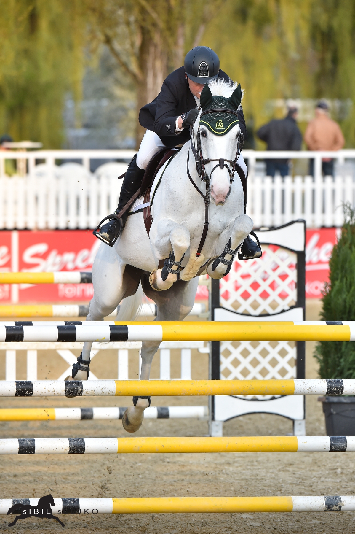 Ein Reiter in schwarzer Kleidung springt mit einem weißen Pferd über ein Hindernis in einem Springturnier.