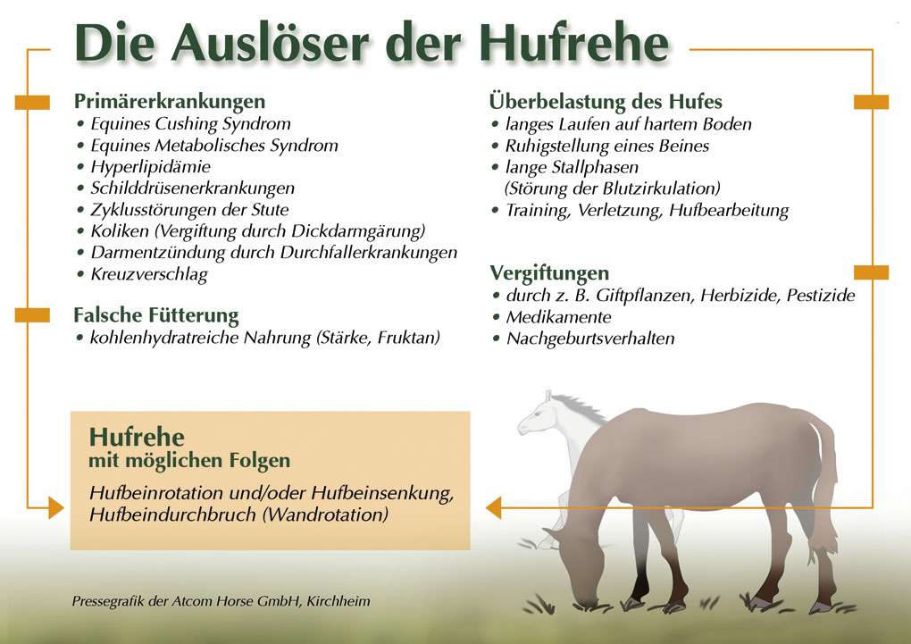 Auslöser der Hufrehe